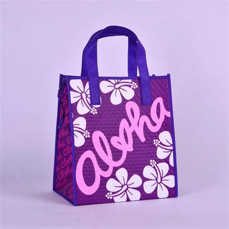 Isoleret Tote Madpakke