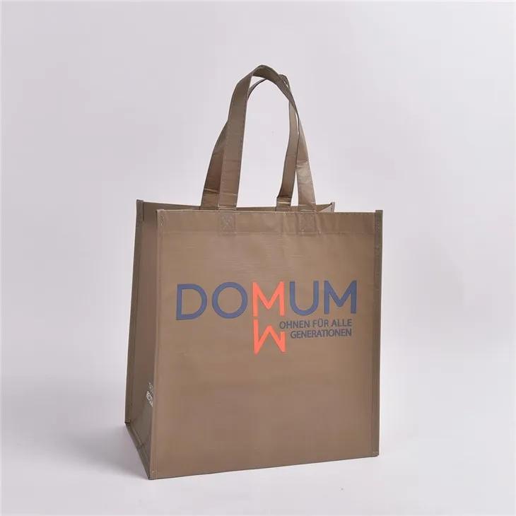 RPET genanvendelige indkøbsposer